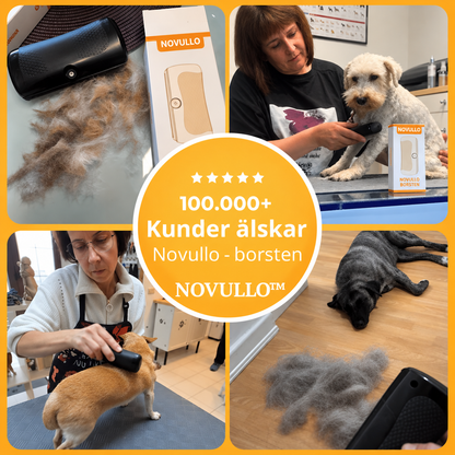 Novullo™ - Hundborste