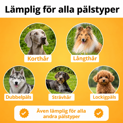 Novullo™ - Hundborste