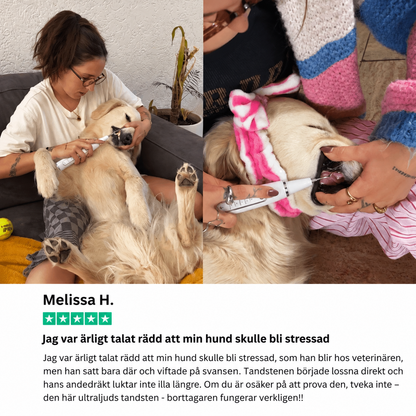 Novullo™ - Ultraljud tandsten - borttagaren