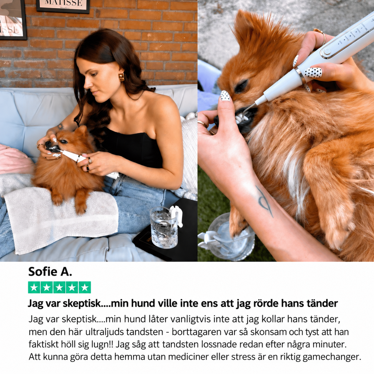 Novullo™ - Ultraljud tandsten - borttagaren
